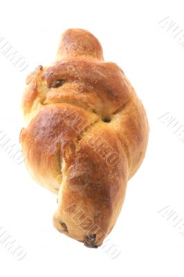 bun with sultana macro on white