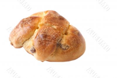 bun with sultana on white background