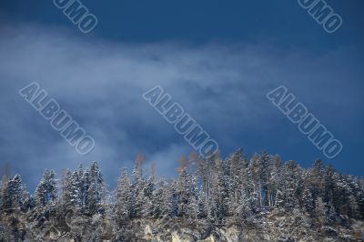 Winter forest in Austrias Alps