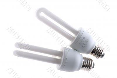 florescent light bulb on white background