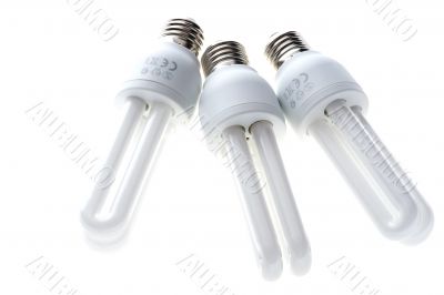 florescent light bulb on white