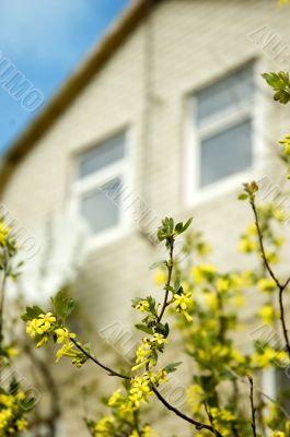 springtime
