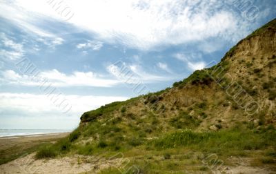 summer landscape