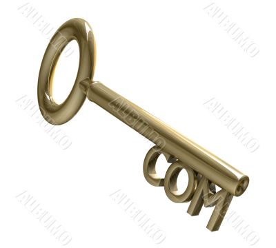 key in gold with COM text 3d made