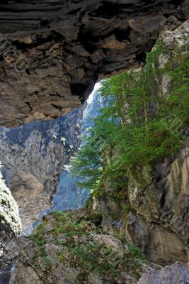Narrow  Liechtenstein canyon in Alps