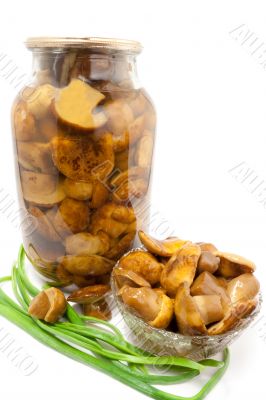 canning mushroom