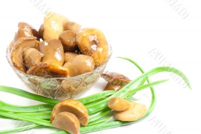 canning mushroom