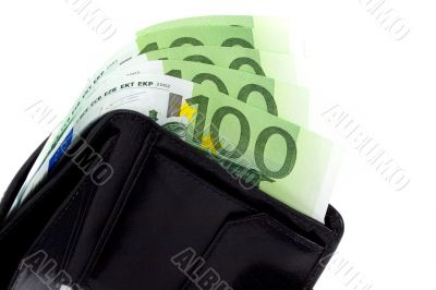 euro and a leather purse