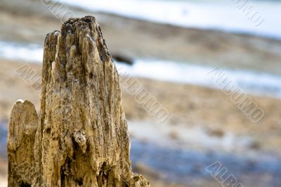 Broken jetty post