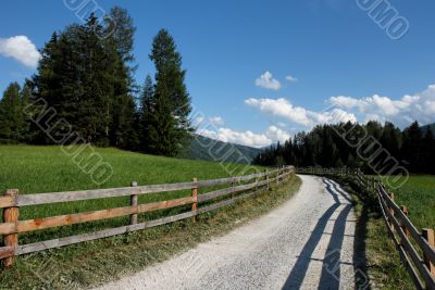 Alpine countryside road among meadows
