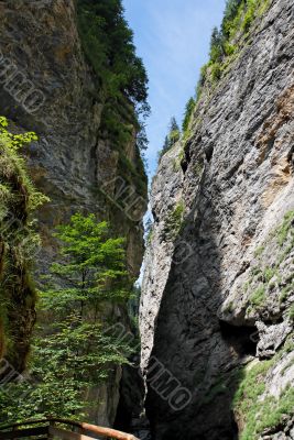 Narrow Liechtenstein canyon in Alps