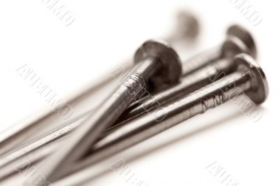 Construction Nails Isolated