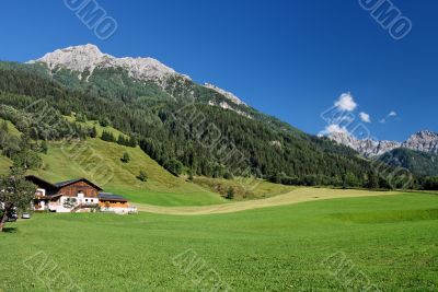 Alpine landscape
