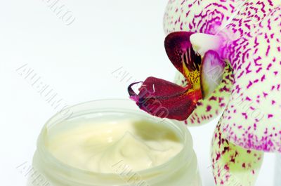 cream with orchids. Spa concept