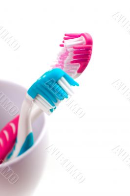 two toothbrushes