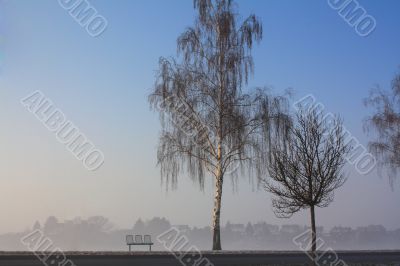 snow field in fog