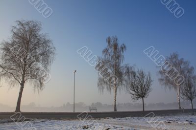 snow field in fog
