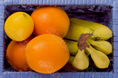 basket with fruits