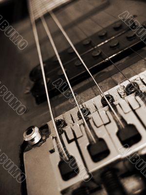 Guitar detail