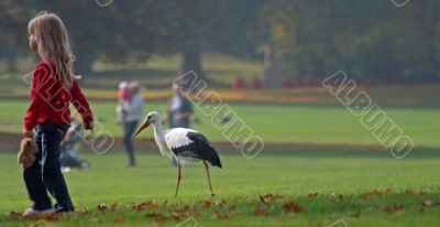Child with white Stork (Ciconia ciconia)