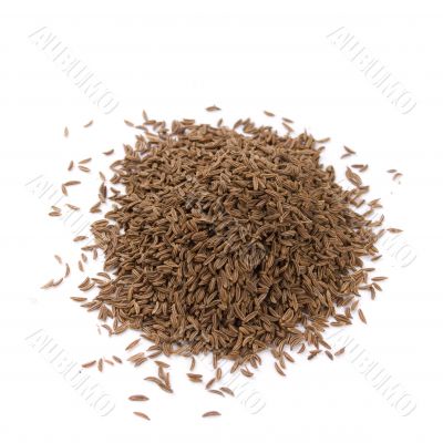 dried caraway