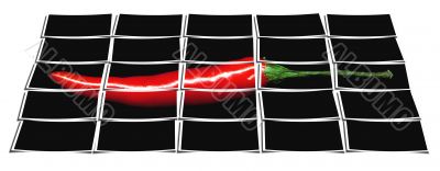 red chili pepper collage
