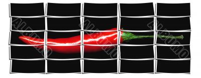 red chili pepper collage