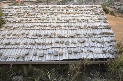 The roof