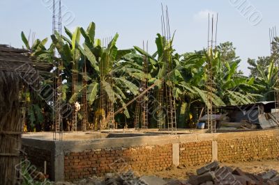 The contrast building process with a briks and palms