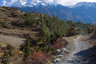 The mountain trail