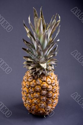 pineapple