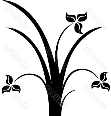 Flower Sihouette