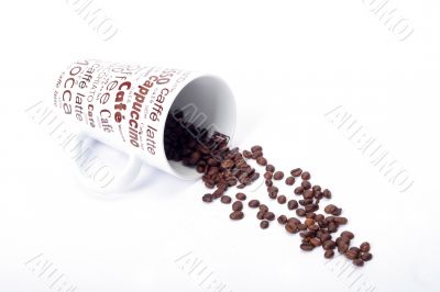 Coffee beans with cup