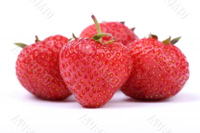 isolated strawberries