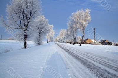 Road in snow