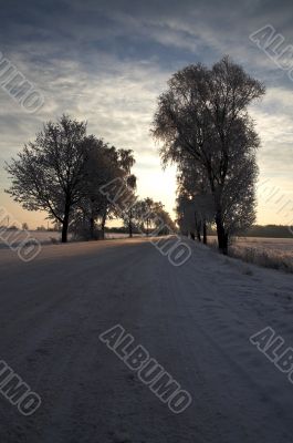 Road in snow