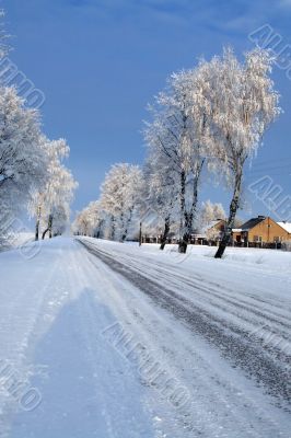 Road in snow