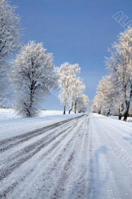 Road in snow