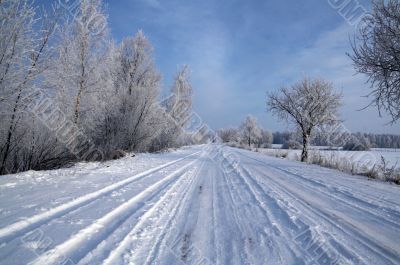 Road in snow