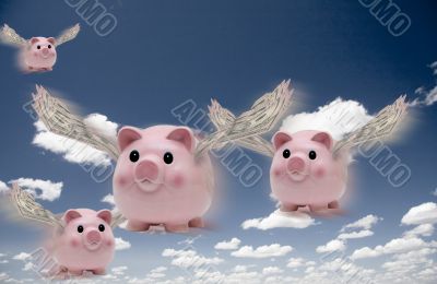 Flying Pigs