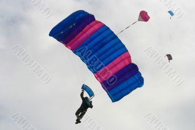 skydivers
