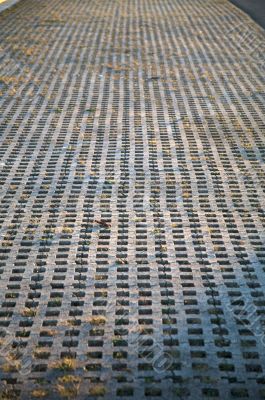cement ground holes