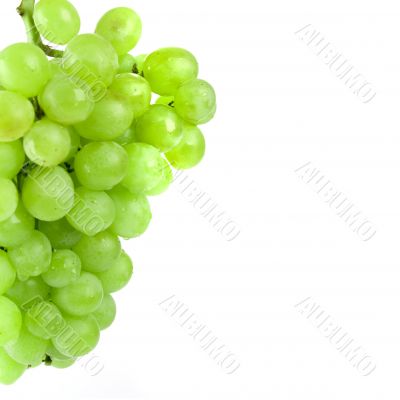 green grapes