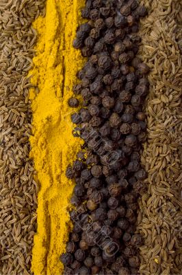 spices