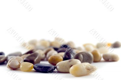pebble