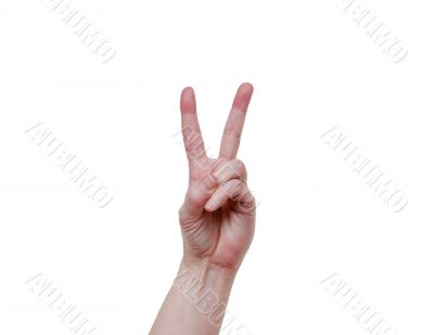 Peace
