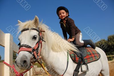little girl and shetland