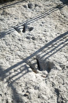 three dinosaur tracks