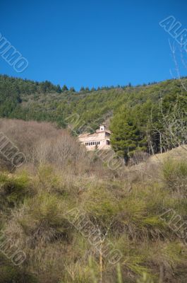 monastery inside the forest