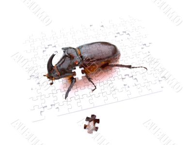 puzzle